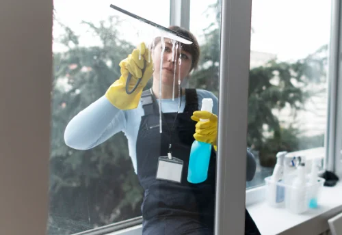 Nettoyage de vitres intérieures et extérieures à Parnans